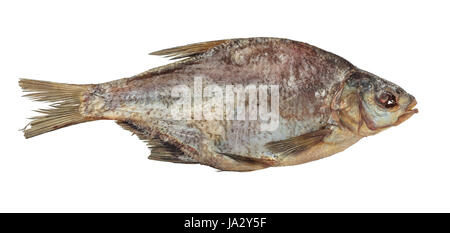 dried fish bream isolated on white background Stock Photo
