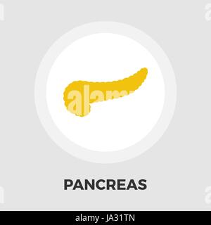 Pancreas icon vector. Flat icon isolated on the white background. Editable EPS file. Vector illustration. Stock Vector