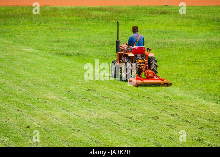 a man on mower cutting grass in football field Stock Photo