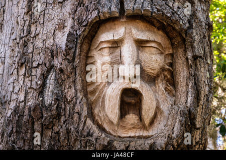 With their sad, sorrowful expressions, the Tree Spirits of St. Simons Island, seem to reflect the grieving appearance of the trees themselves with the Stock Photo