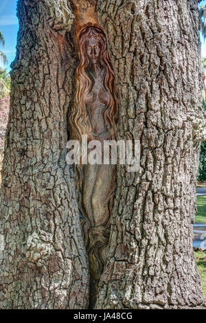 With their sad, sorrowful expressions, the Tree Spirits of St. Simons Island, seem to reflect the grieving appearance of the trees themselves with the Stock Photo