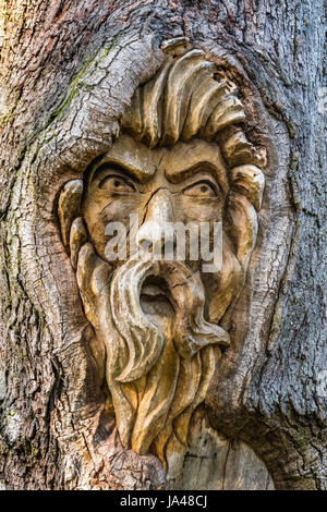 With their sad, sorrowful expressions, the Tree Spirits of St. Simons Island, seem to reflect the grieving appearance of the trees themselves with the Stock Photo