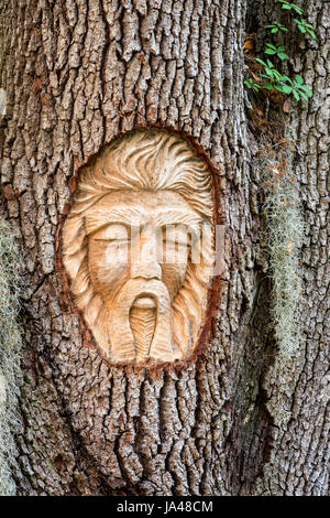 With their sad, sorrowful expressions, the Tree Spirits of St. Simons Island, seem to reflect the grieving appearance of the trees themselves with the Stock Photo