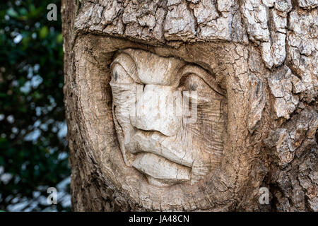 With their sad, sorrowful expressions, the Tree Spirits of St. Simons Island, seem to reflect the grieving appearance of the trees themselves with the Stock Photo