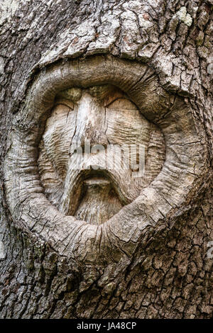 With their sad, sorrowful expressions, the Tree Spirits of St. Simons Island, seem to reflect the grieving appearance of the trees themselves with the Stock Photo