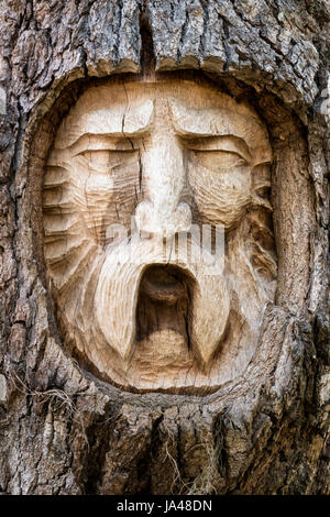 With their sad, sorrowful expressions, the Tree Spirits of St. Simons Island, seem to reflect the grieving appearance of the trees themselves with the Stock Photo