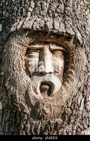 With their sad, sorrowful expressions, the Tree Spirits of St. Simons Island, seem to reflect the grieving appearance of the trees themselves with the Stock Photo