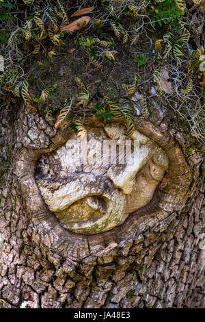 With their sad, sorrowful expressions, the Tree Spirits of St. Simons Island, seem to reflect the grieving appearance of the trees themselves with the Stock Photo