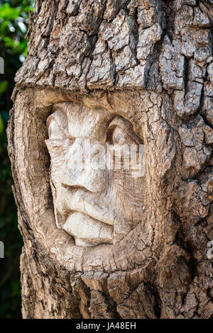 With their sad, sorrowful expressions, the Tree Spirits of St. Simons Island, seem to reflect the grieving appearance of the trees themselves with the Stock Photo