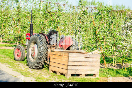 Simrishamn, Sweden - May 19, 2017: Environmental documentary. Vintage Massey Ferguson 135 still being used at apple orchard. Here parked in front of w Stock Photo