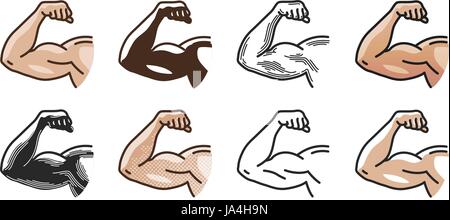 Arm muscles, strong hand icon or symbol. Gym, sports, fitness, health concept. Vector illustration Stock Vector