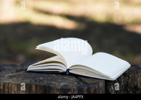 An empty notebook or diary with open pages lies on a stump in park Stock Photo