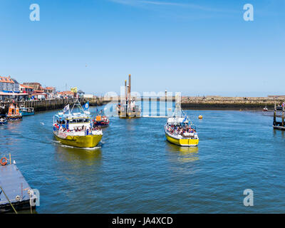 Whitby harbour with two yellow pleasure boats and the old Whitby Lifeboat manoeuvring to safely pass the dredger Sansend under way in the channel. Stock Photo