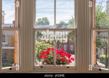 Interior of a Victorian British house with old wooden white windows  and red geraniums on the window sill facing a traditional English street Stock Photo