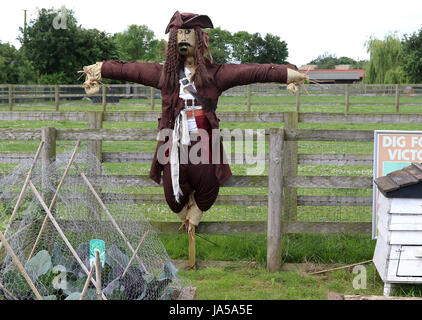 June 4, 2017 - A Pirate themed scarecrow protects seeds from birds Stock Photo