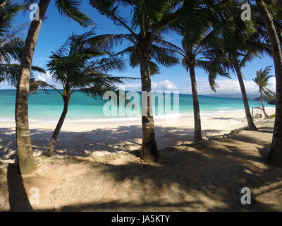 Empty exotic beach with palm trees Stock Photo