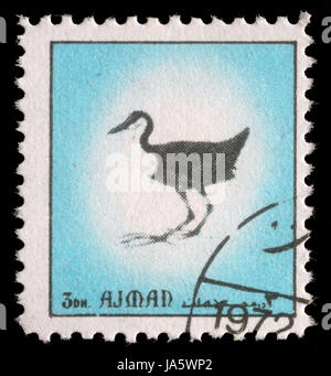 AJMAN - CIRCA 1972: stamp printed by Ajman, shows bird, circa 1972 Stock Photo