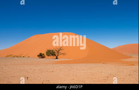 Dune 45, Sossusvlei, Namib-Naukluft National Park, Namibia Stock Photo