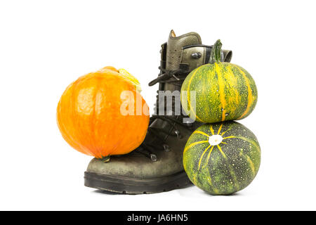 boot, still life, autumn colours, pumpkin, shoe, courgette, zucchini, boot, Stock Photo