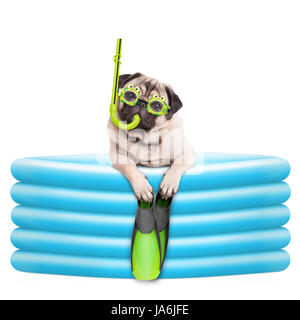 funny summerly pug dog with goggles, snorkel and flippers in inflatable pool, isolated on white background Stock Photo