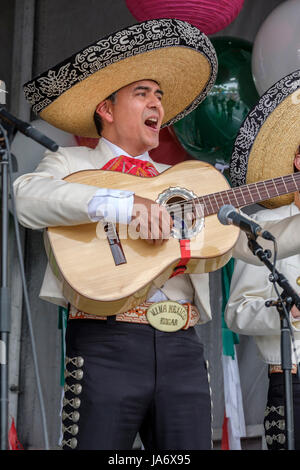 Live music. Male Mexican mariachi acoustic guitar player wearing a sombrero hat performing at a Mexican music festival, mariachi singer, mariachi guitar, Mexican musician, mariachi male, mariachi music. Stock Photo