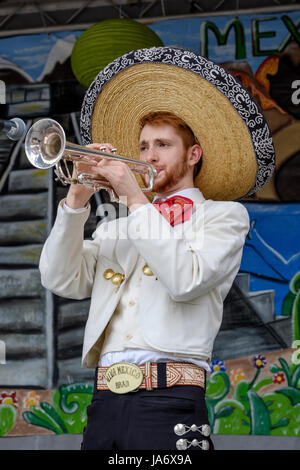 Live music. Male mariachi trumpet player wearing traditional Mexican mariachi clothing, and Mexico sombrero, playing the trumpet as a member of a mariachi band. Stock Photo