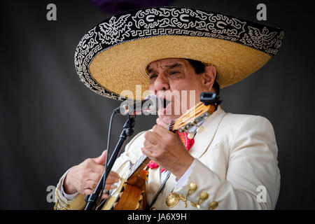 Mexican singer, mariachi musician, playing a Mexican vihuela guitar, and singing at a festival celebrating the sounds, culture, and music of Mexico, male singer, performer, traditional Mexican music, mariachi performer, live music. Stock Photo