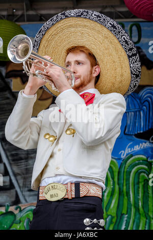 Live music. Male mariachi trumpet player wearing traditional Mexican mariachi clothing, and Mexico sombrero, playing the trumpet as a member of a mariachi band. Stock Photo