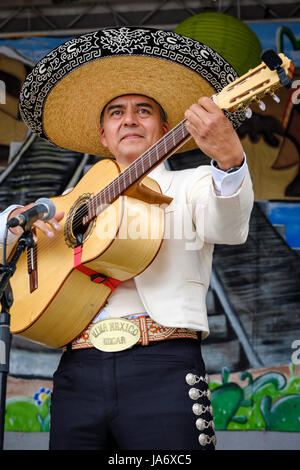 Live music. Male Mexican mariachi acoustic guitar player wearing a sombrero hat performing at a Mexican music festival, mariachi singer, mariachi guitar, Mexican musician, mariachi male, mariachi music. Stock Photo