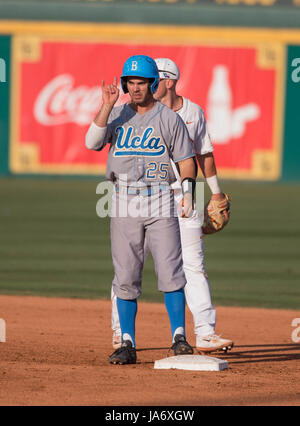 Daniel Amaral - Baseball - UCLA