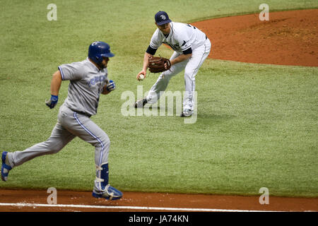 August 24, 2017 - St. Petersburg, Florida, U.S. - WILL VRAGOVIC   |   Times.Tampa Bay Rays starting pitcher Alex Cobb (53) fields the grounder by Toronto Blue Jays designated hitter Kendrys Morales (8) in the fourth inning of the game between the Toronto Blue Jays and the Tampa Bay Rays at Tropicana Field in St. Petersburg, Fla. on Thursday, Aug. 24, 2017. (Credit Image: © Will Vragovic/Tampa Bay Times via ZUMA Wire) Stock Photo