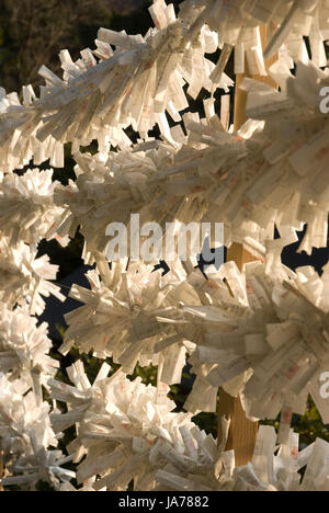 Omikuji (fortunes sold at shinto shrines) with bad luck left at Tsurugaoka Hachiman-gu Shinto shrine in Kamakura Stock Photo