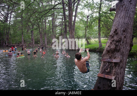 Swimmers at Blue Hole Regional Park in Wimberley, Texas Stock Photo - Alamy