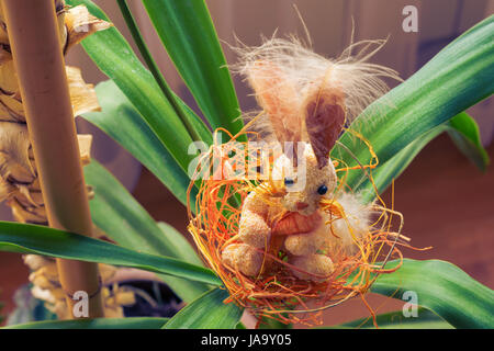 Bunny in the nest in green plant during easter Stock Photo