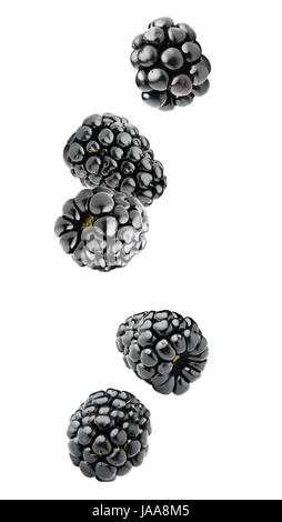 Isolated berries. Five falling blackberry fruits isolated on white background with clipping path Stock Photo