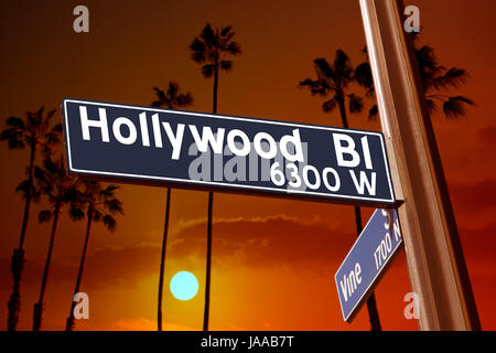 Hollywood Boulevard with Vine sign illustration on palm trees background Stock Photo