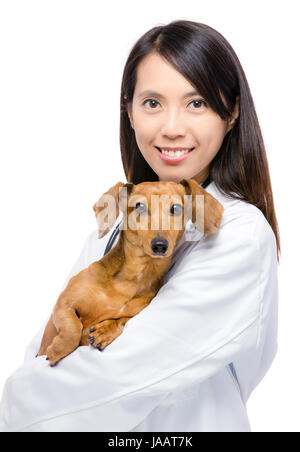 Veterinarian and dachshund dog Stock Photo