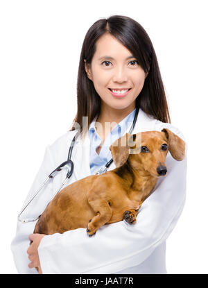 Female veterinarian with dachshund dog Stock Photo