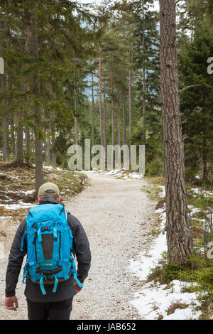 Man hiking in the forest, The Green Lake, Styria, Austria Stock Photo