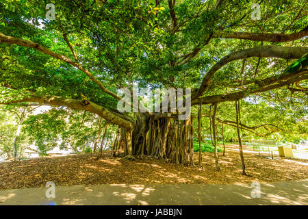 Brisbane River, Southbank and Botanical Garden views Stock Photo