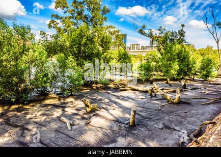 Brisbane River, Southbank and Botanical Garden views Stock Photo