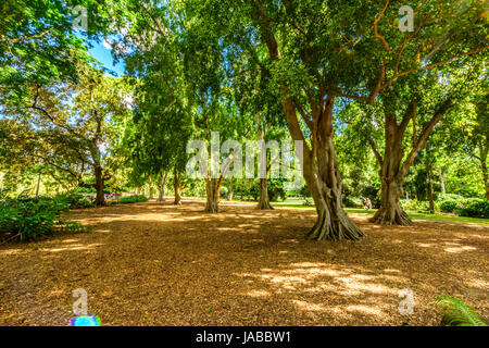 Brisbane River, Southbank and Botanical Garden views Stock Photo