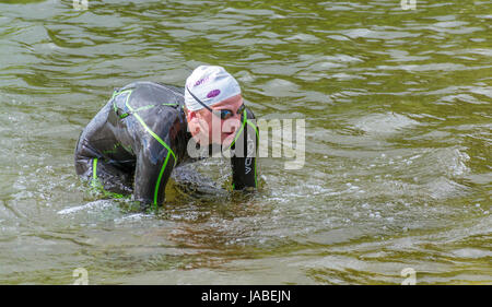 Swimmer heads for the finishing line at the Ullswater EPIC open water swimming event (3.8 Km) Stock Photo