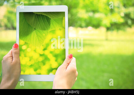 Summer background. White tablet in hand on green nature background. Tablet with vivid green picture on screen in girl hand. Stock Photo