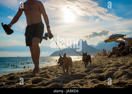 RIO DE JANEIRO - FEBRUARY 7, 2017: Man walking with two small dogs on Ipanema Beach with the sunset behind Two Brothers Mountain. Stock Photo