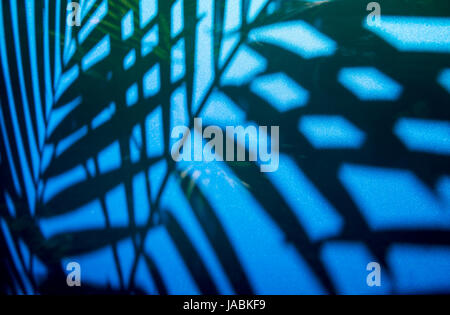Abstract palm frond shadows on shiny metallic blue surface. Stock Photo