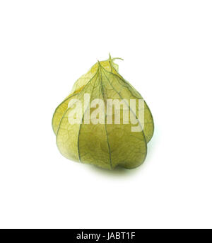 Cape gooseberry, physalis isolated on white background.  (with clipping work path) Stock Photo