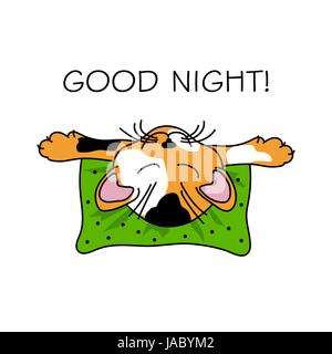 Cat sleeping on a pillow Stock Vector