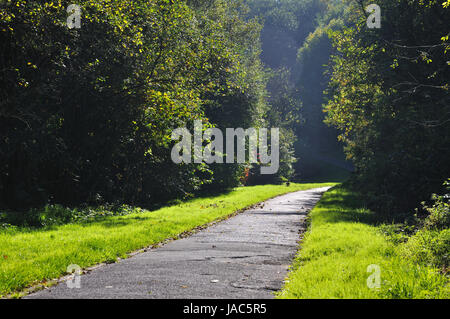 Misterious shady green alley with trees in the park in Fulda, Hessen, Germany Stock Photo