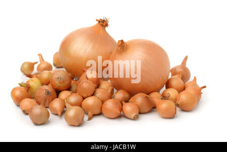 Onion sets isolated on white Stock Photo